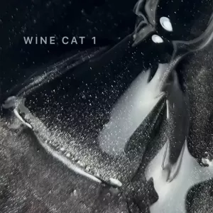 Гель-лак Saga Wine Cat 01 (асфальтний), 10 мл - Фото 1