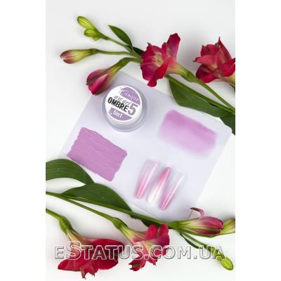 Crooz Гель фарба 5 в 1 Art gel ombre № 05 (світлий рожево-ліловий), 3 мл