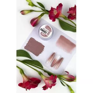 Crooz Гель краска 5 в 1 Art gel ombre № 08 (нюд с холодным подтоном), 3 мл), 